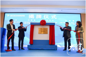 �����׸�˽ļ��Ȩ Ͷ��רҵ����վ����